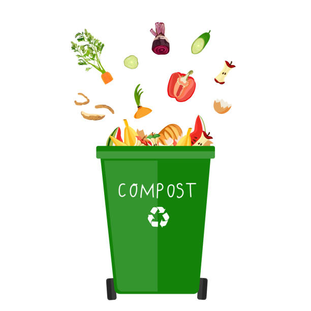 A bin labeled "Compost" with a bunch of fruit and vegetable scraps falling into it